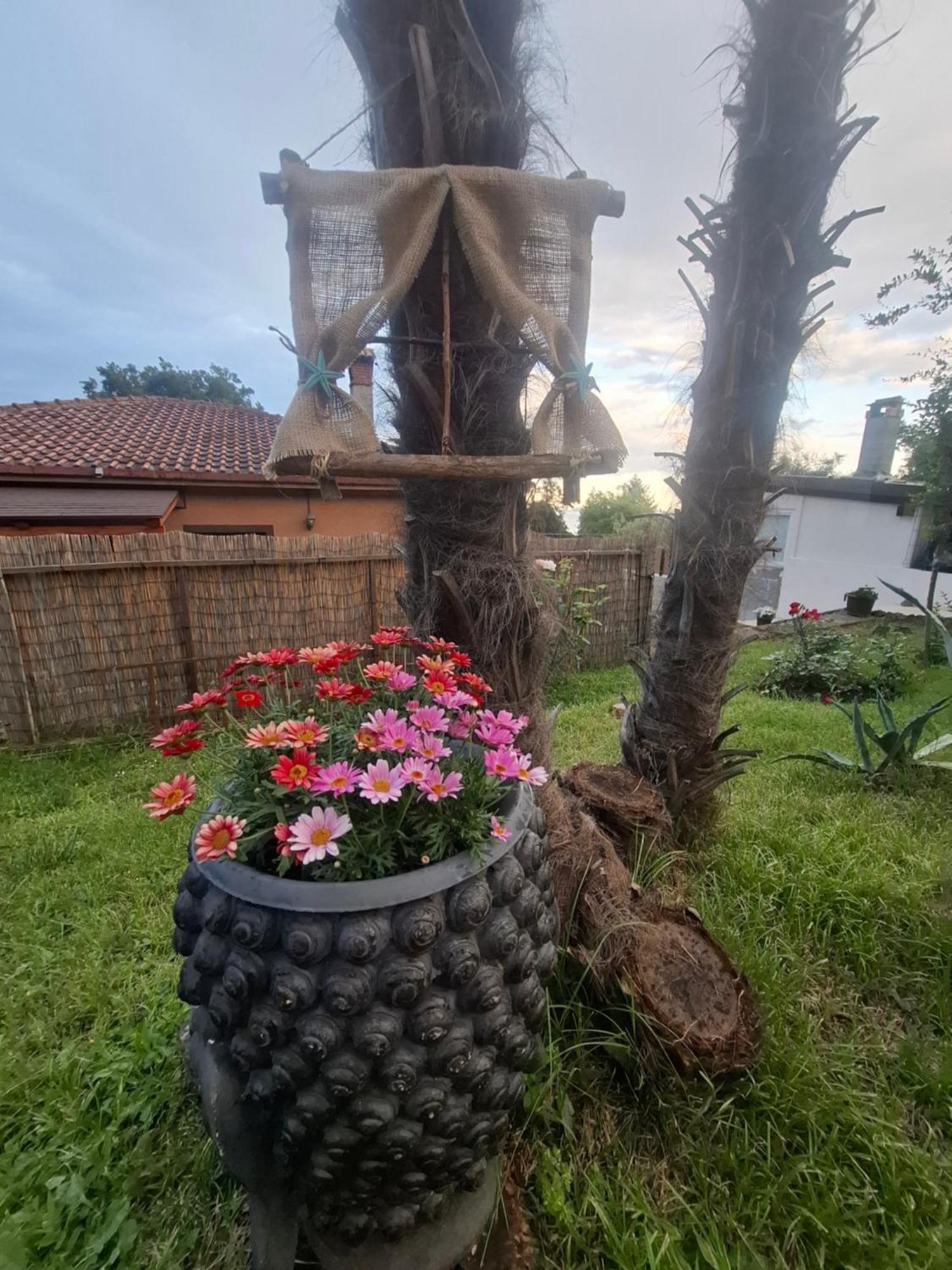 Apartman Envi Opatija Extérieur photo